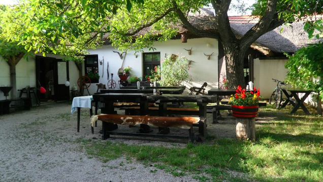 Illustration for article titled Sose gondoltam volna, hogy csárdák menthetnek meg a keserű csalódástól