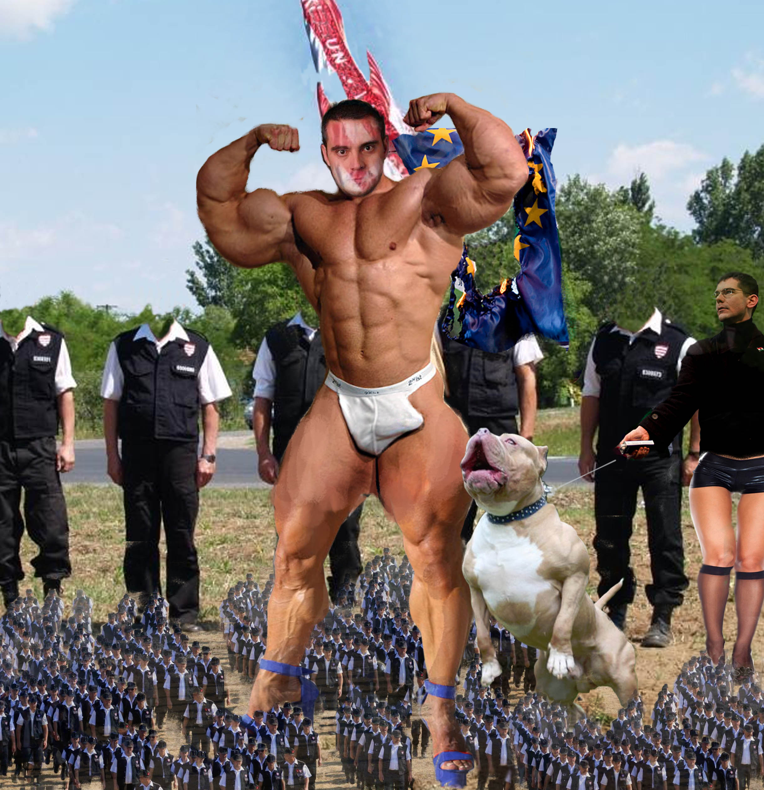 Illustration for article titled Valami csoda ez az orbános óriásplakát-sorozat