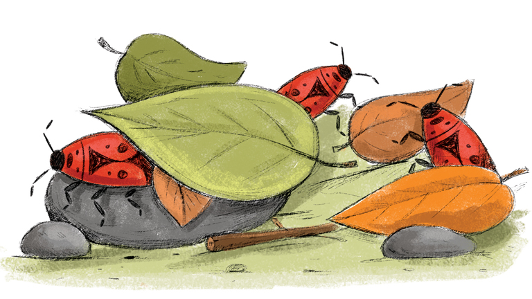 Illustration for article titled Politikonc#15