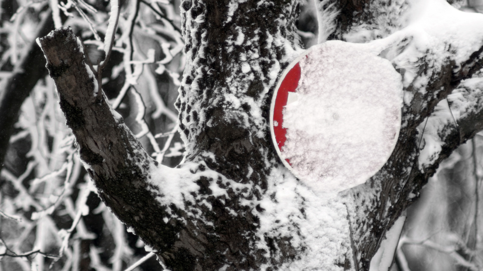 Illustration for article titled Itt a tél, és egyébként mindenki azt ír, amit akar, csak írjon!