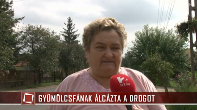 Ideje kimondani: a Last Days of Tények a legjobb magyar lap