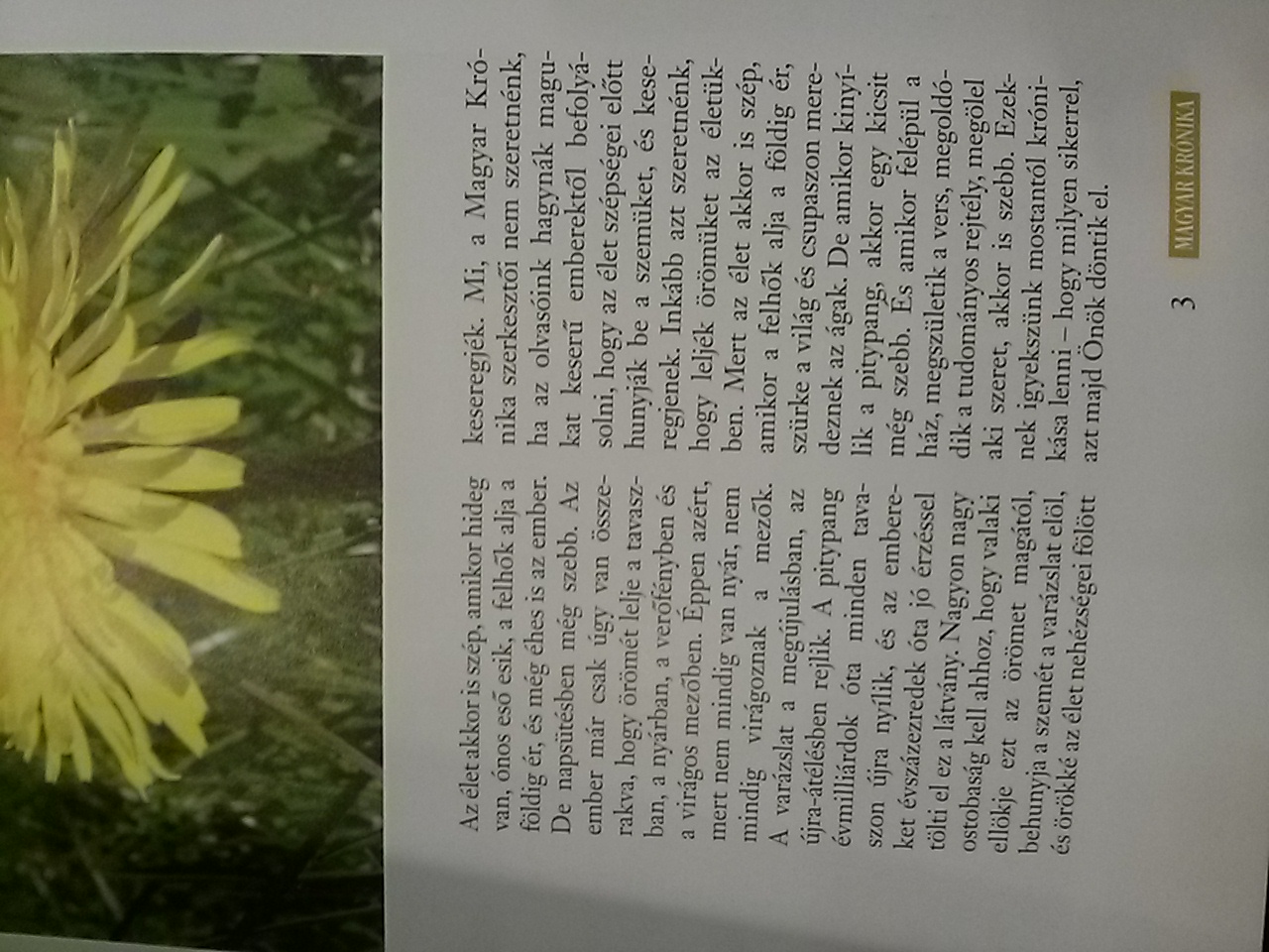 Illustration for article titled És tényleg pitypanggal indult útjára a Kerényi-féle Magyar Krónika!