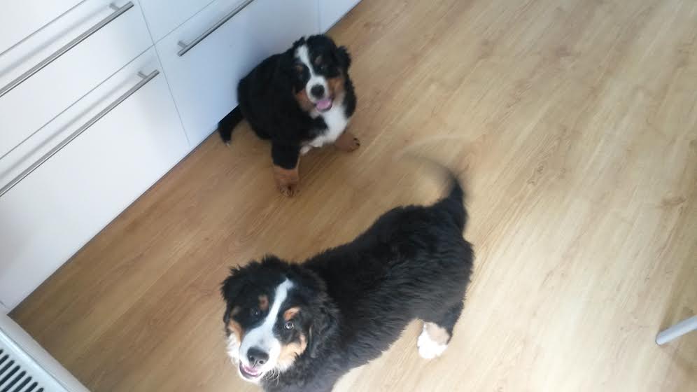 Illustration for article titled Amiért olyan nehéz posztot írnom mostanában..