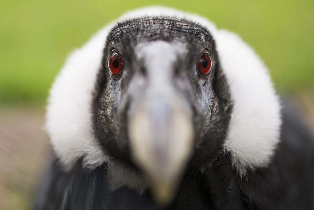 Illustration for article titled Politikonc#4