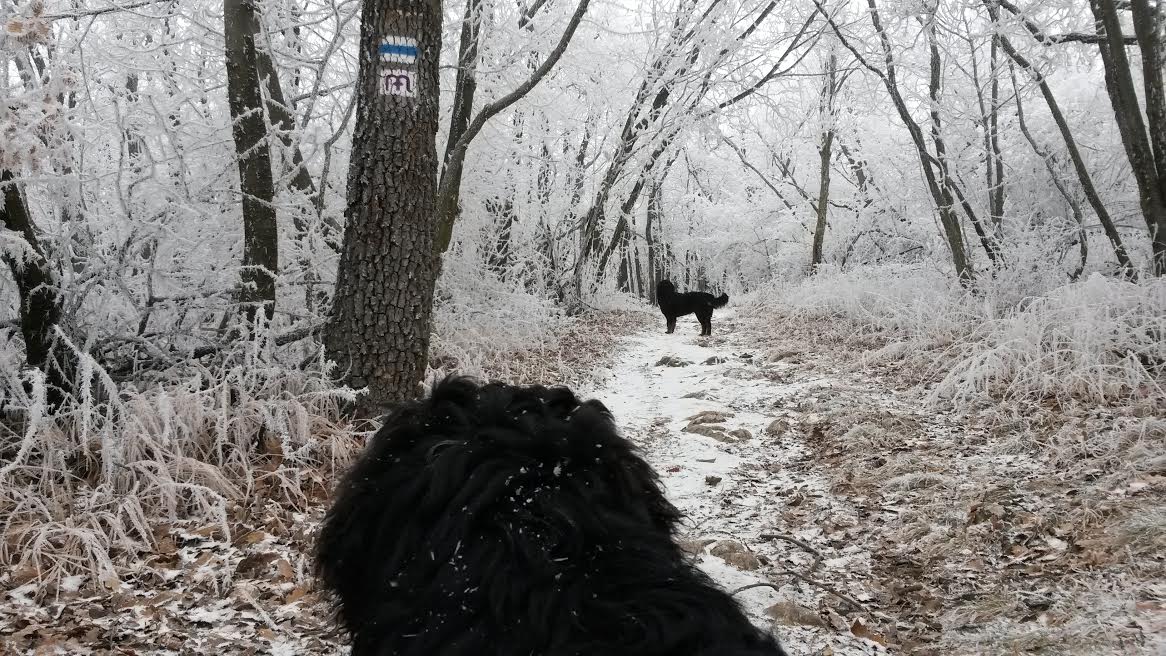 Illustration for article titled Időjárásjelentés