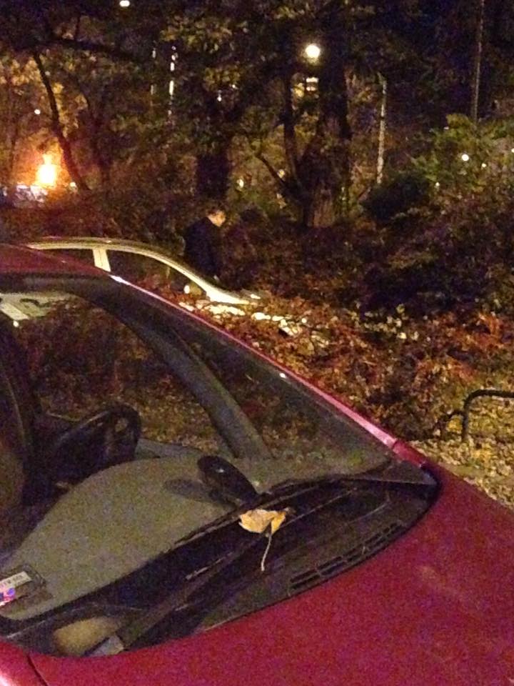 Illustration for article titled Így könnyít magán egy exfőpolgármester közterületen