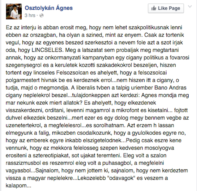 Illustration for article titled Osztolykán Ágnes sajnálja, hogy nem vágott oda