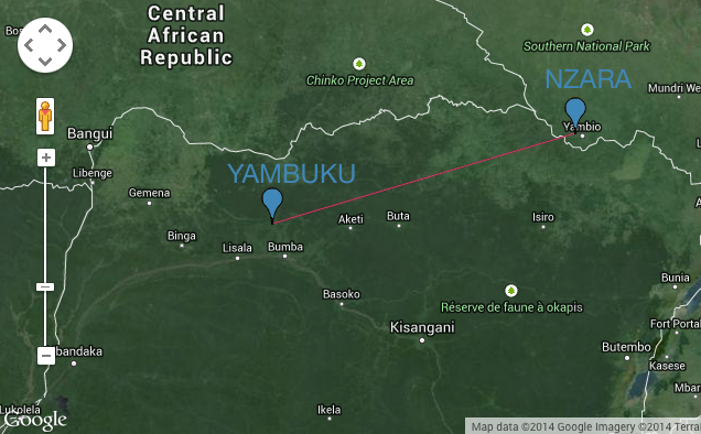 Illustration for article titled Csak Indiában ne terjedjen el – egy interjú az ebola felfedezőjével