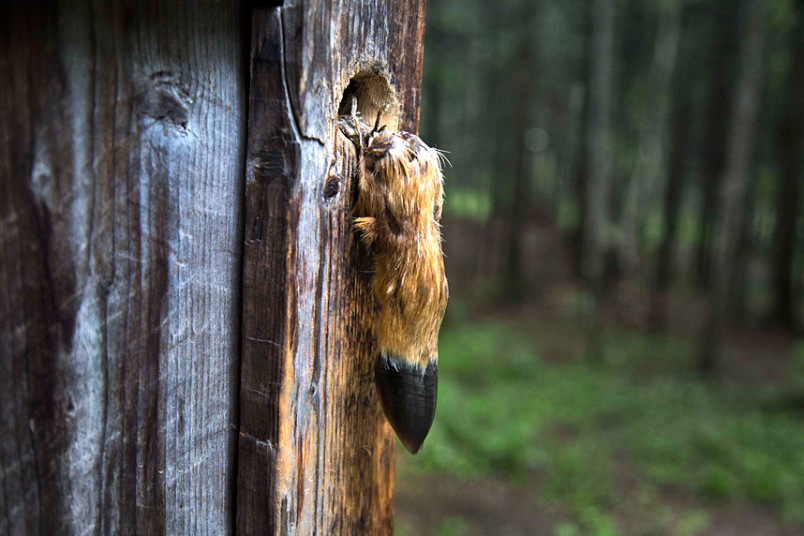 Illustration for article titled Itt van pár érdekes kép Észak-Koreából
