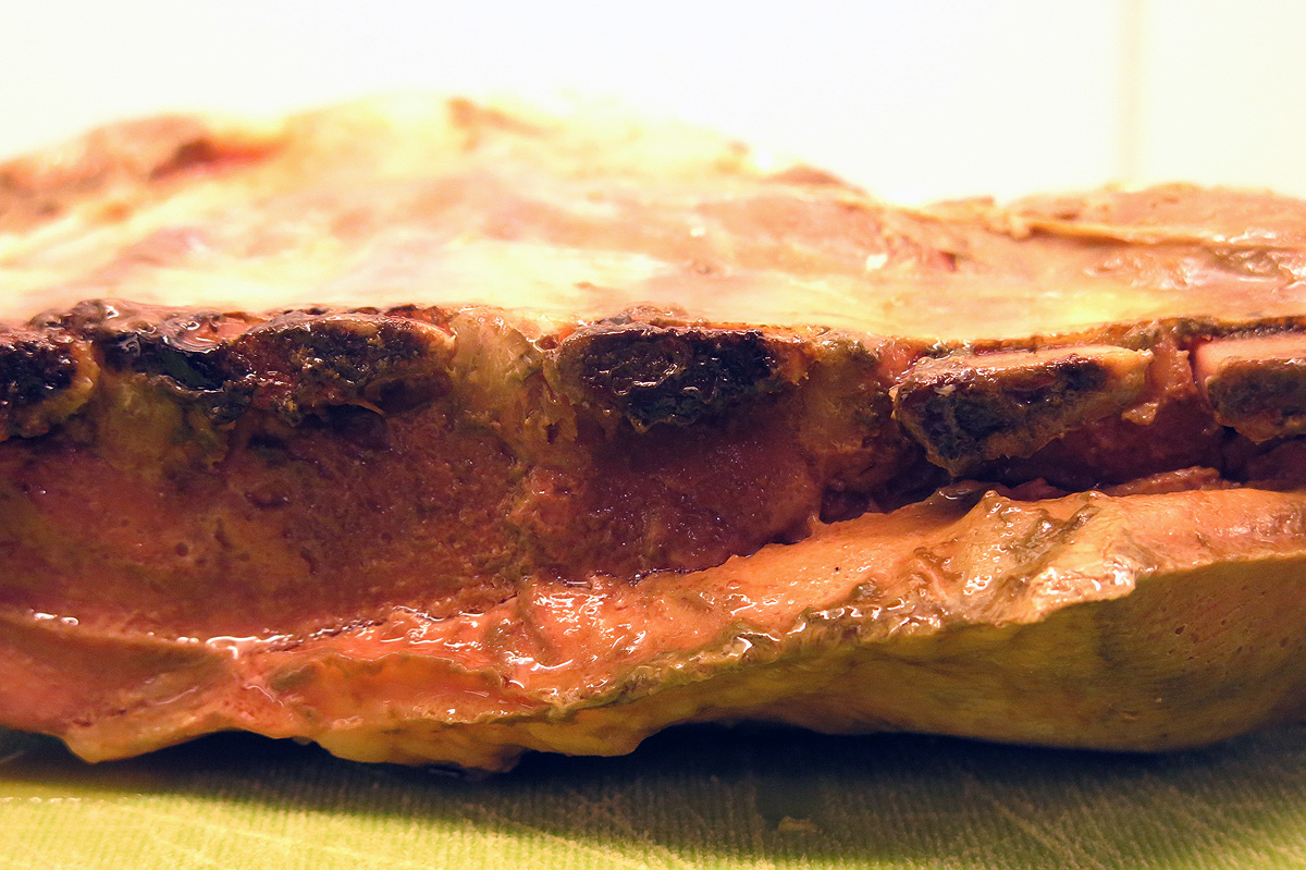 Illustration for article titled Csak 48 óra – és máris megsült a húsunk!