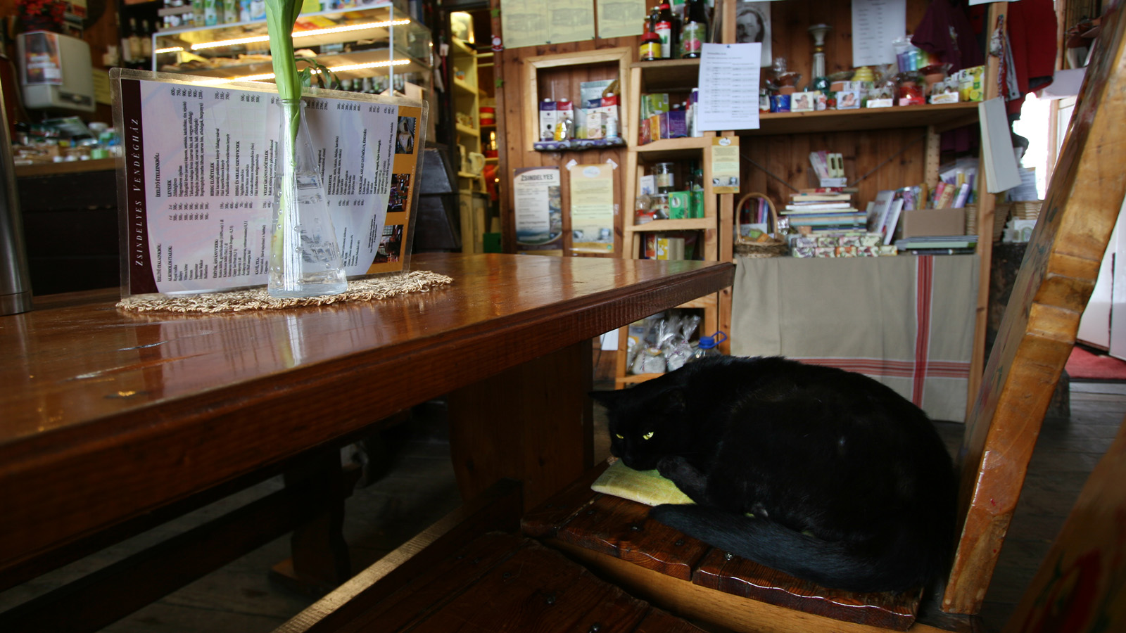 Illustration for article titled Itt a tél, és egyébként mindenki azt ír, amit akar, csak írjon!