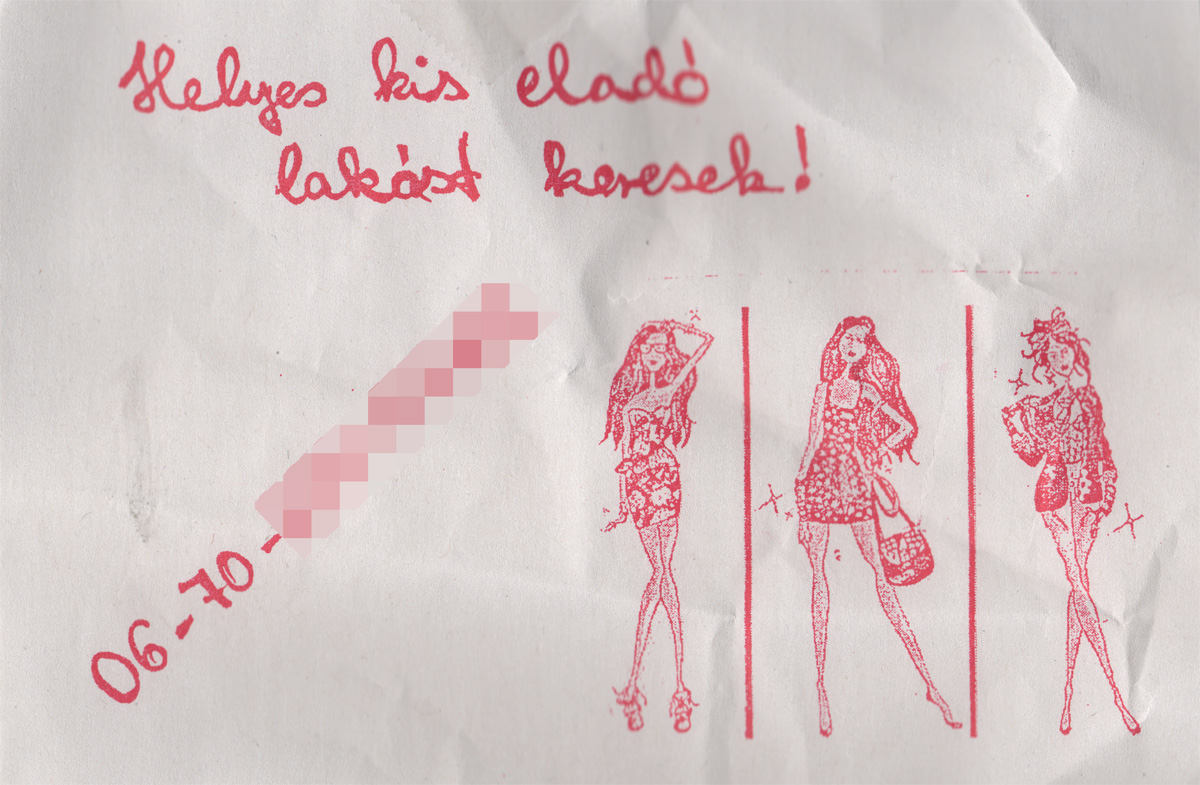 Vajon mire gondolhatott a művész?