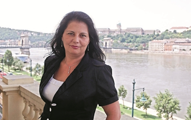 Megint azt írják, hogy mindjárt ki fogják rúgni Vida Ildikót