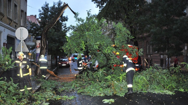 Fapokalipszis a Nagyfuvaros utcában