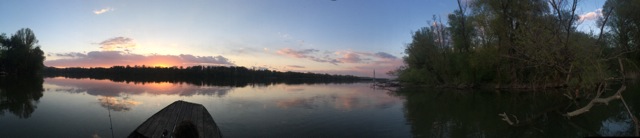 Illustration for article titled 100 napos tojás? 35 éves zebrapintymúmia!