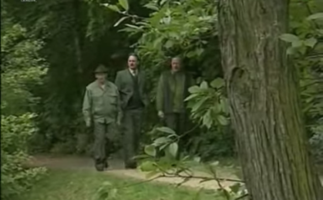 Lógós favágók? Nem! Drogosok!