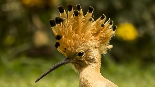 Végre egy igazán fontos választás!