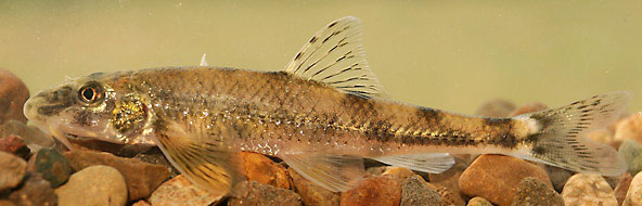 Illustration for article titled Politikonc - 2016#1