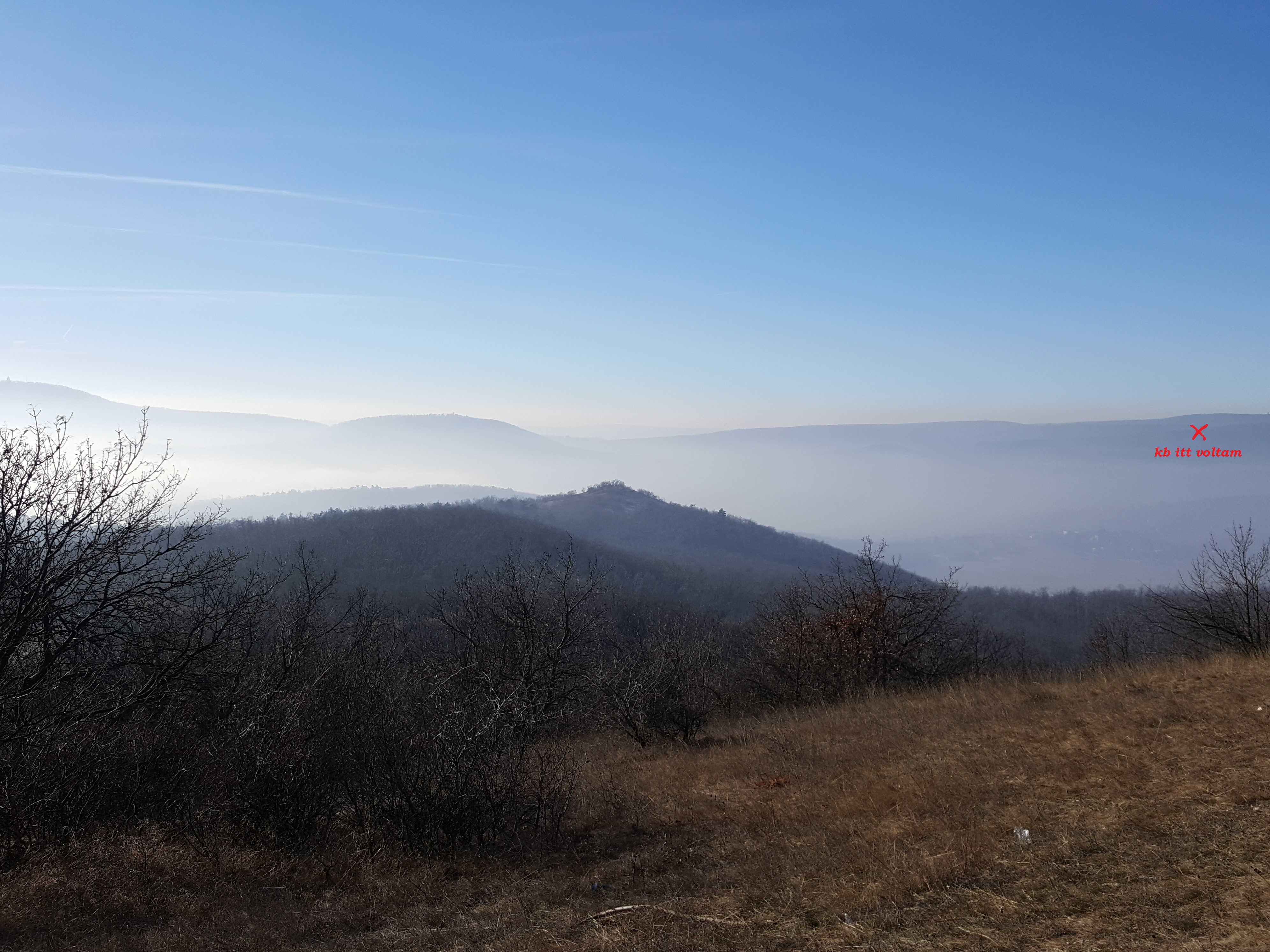 Illustration for article titled Kettedik - Szurikáta majdnem-észleléssel