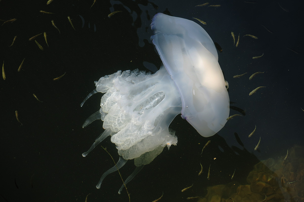 Illustration for article titled Bolgár Riviéra Top 10 – járjuk be együtt a Napospart napos oldalát!