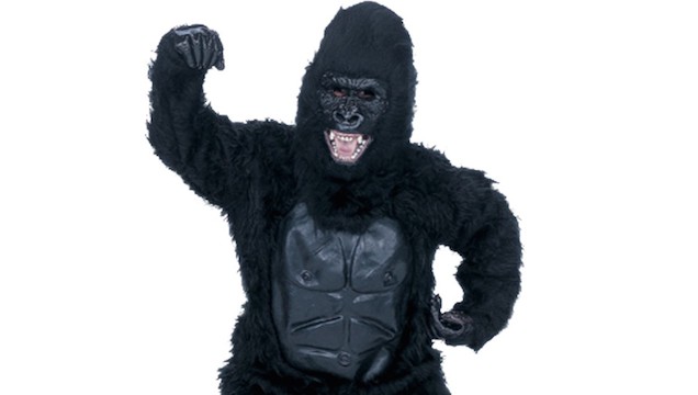 Benyugtatózták a gondozót, aki gorillának öltözött az állatkertben