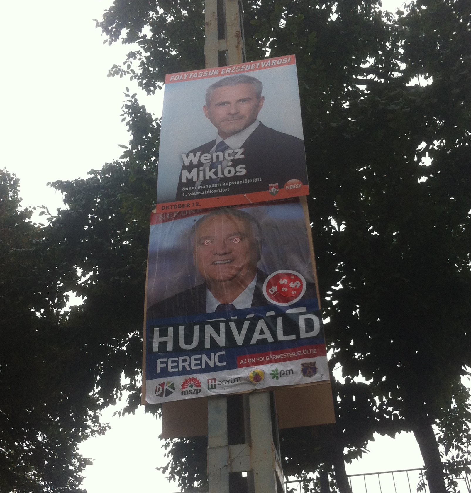 Illustration for article titled A hetedik kerületben Hunvald az új rézfaszú bagoly