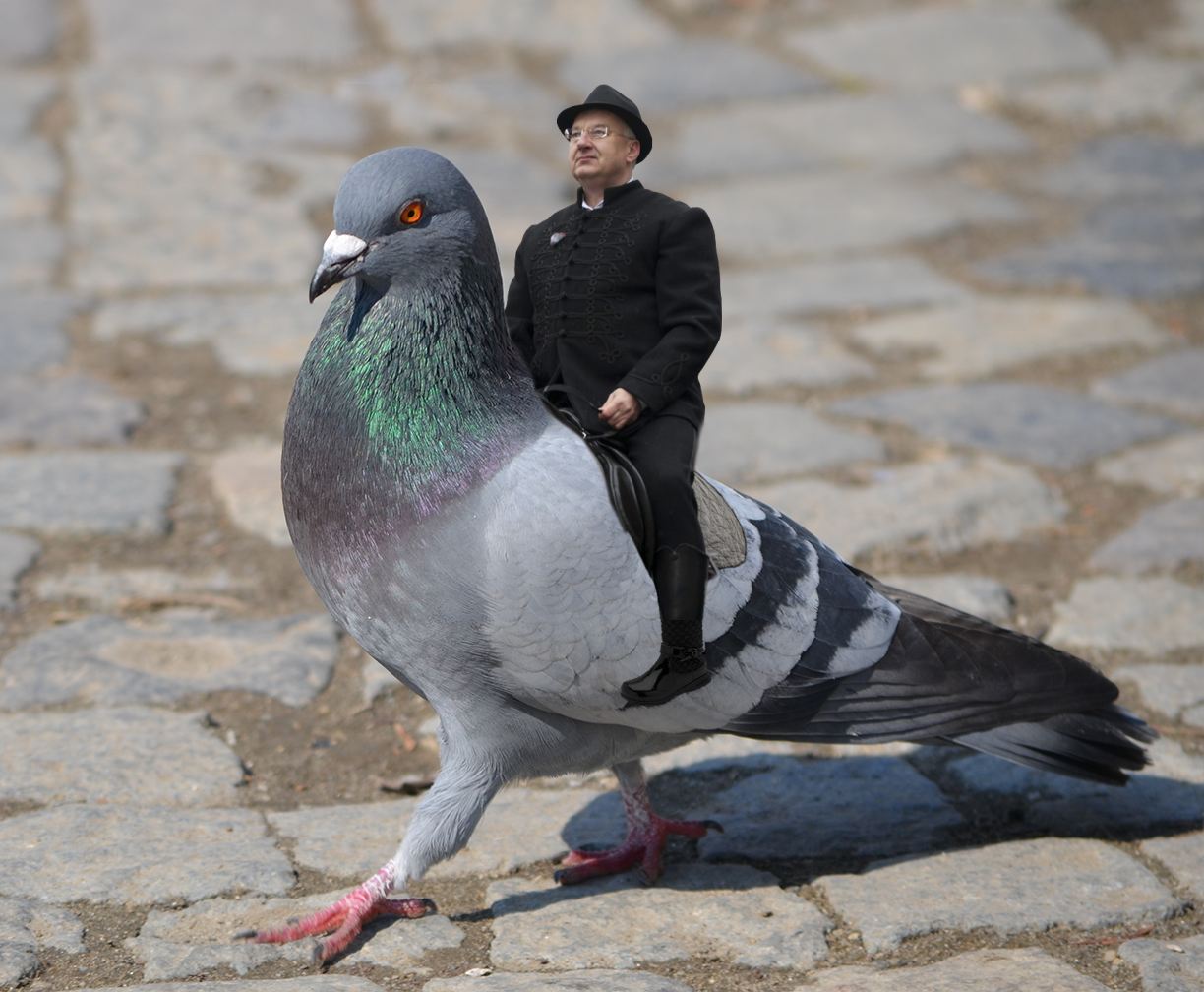 Illustration for article titled Soha nem lesz tökéletesebb mondat kormányzati sajtómeghívóban