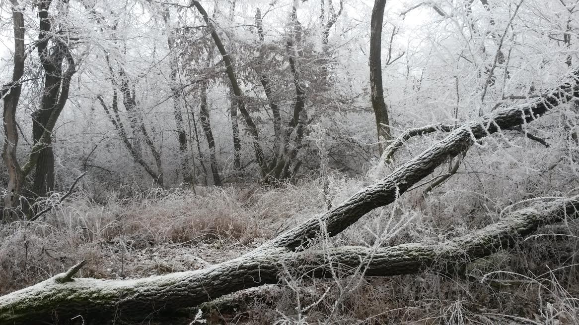 Illustration for article titled Időjárásjelentés