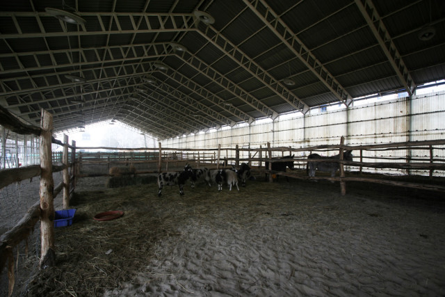 Illustration for article titled Egyelőre Tarr Béla-park lesz a Vidámpark helyén