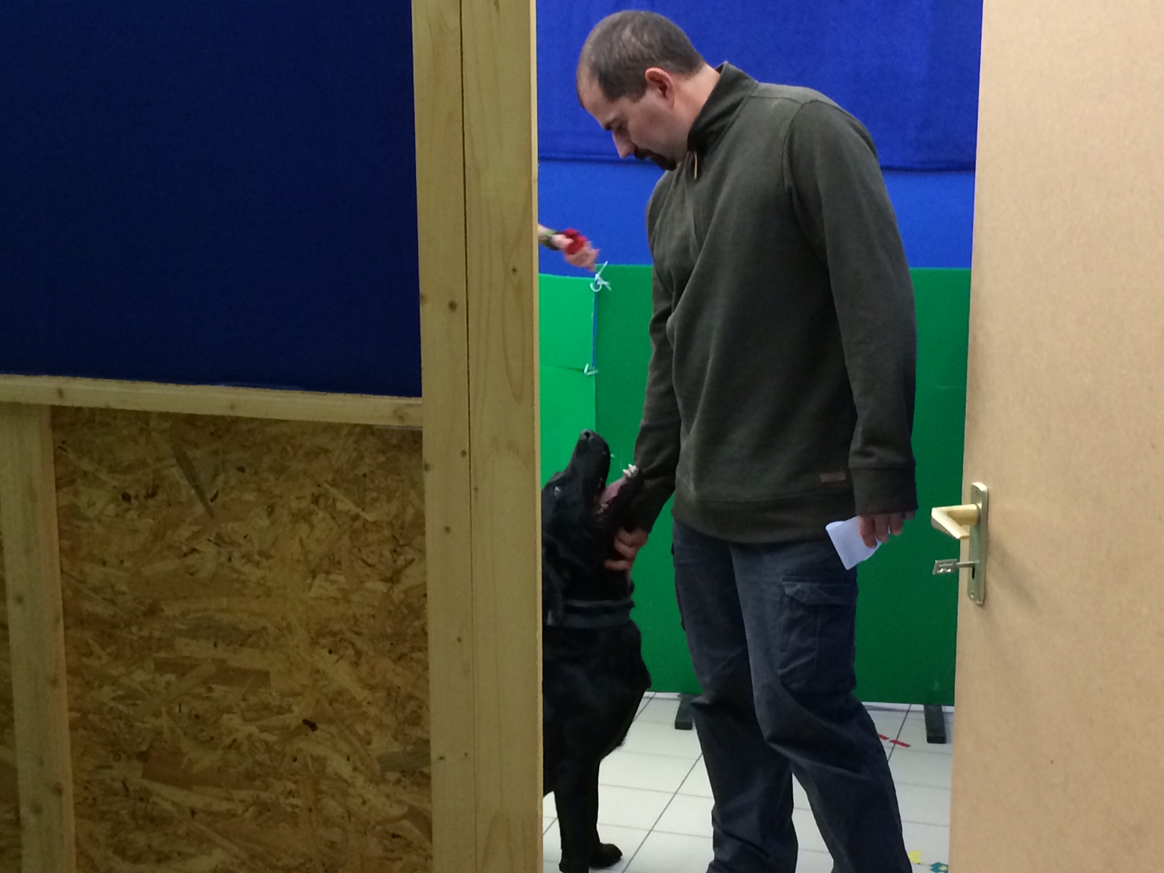 Illustration for article titled Tényleg ilyen hülyék lennének a kutyák?