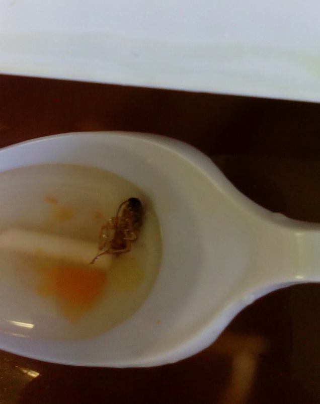 Én annyi mindent elhiszek, de ezt a csótányt már alig-alig sikerül