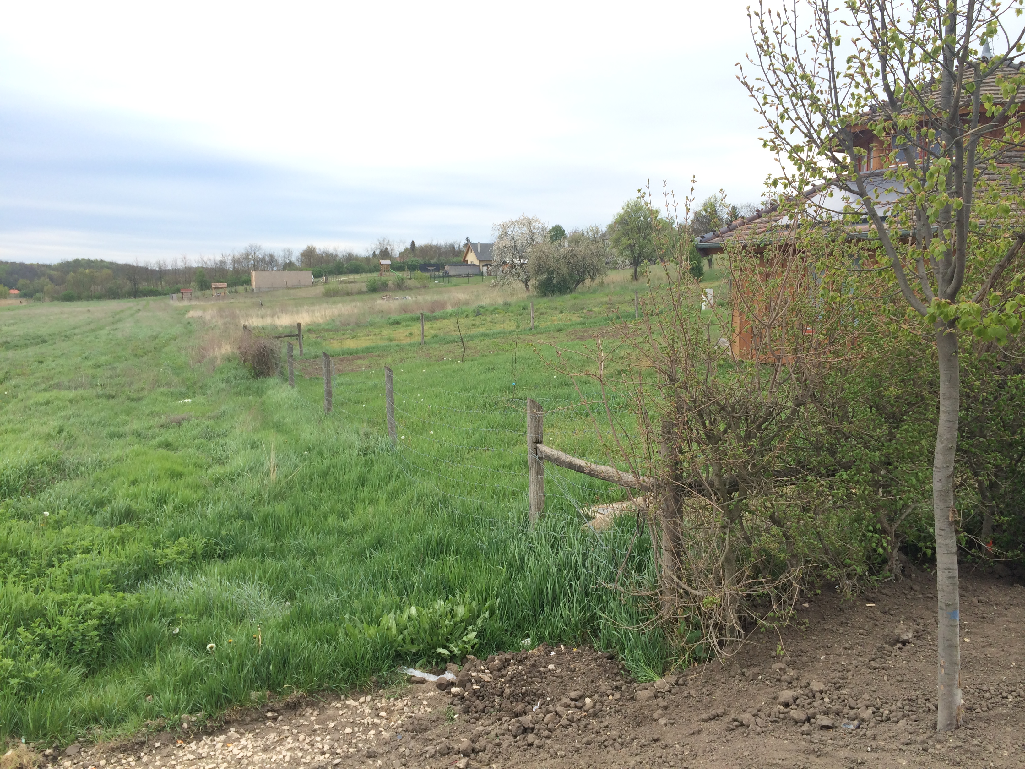 Illustration for article titled Sosem látott fotók I. Orbán Ramszesz felcsúti piramisából