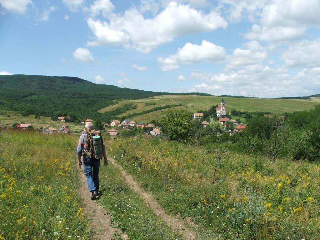 Tízezer lépés kéne csak?