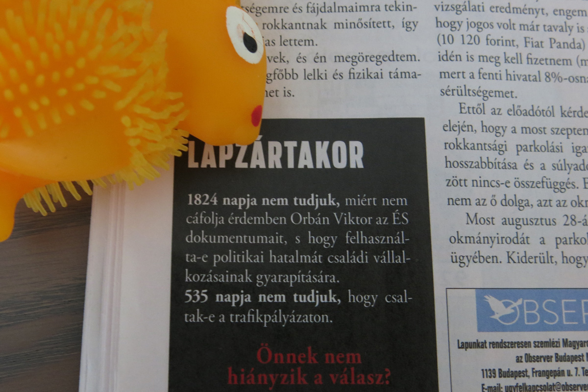 Illustration for article titled Híres bloggerek ütötték fel a fejüket a 168 óra patinás hasábjain!