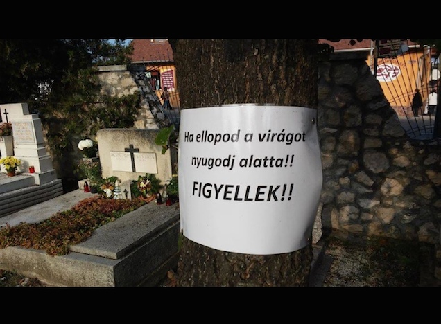 Figyellek!!