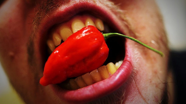 Megtudtam, hogy alfahím vagyok, mert szeretem a csilit