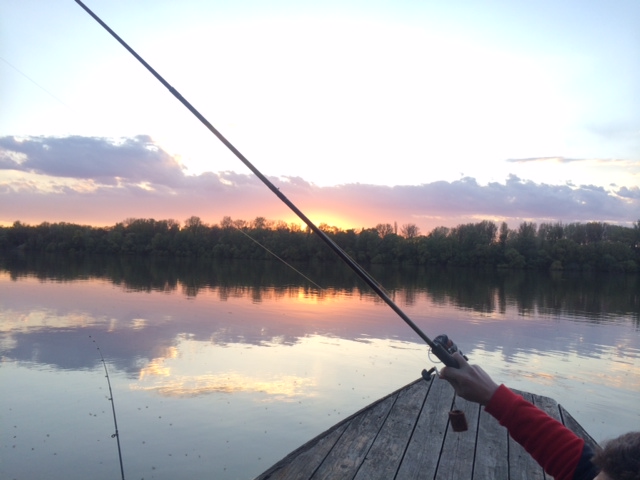 Illustration for article titled 100 napos tojás? 35 éves zebrapintymúmia!