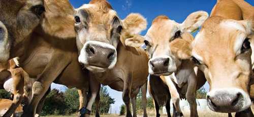 Illustration for article titled Politikonc#13