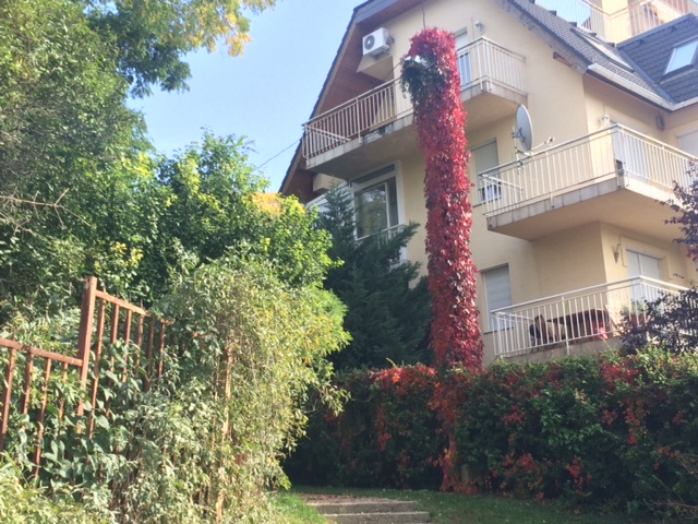 Illustration for article titled Megtaláltam a világ legromantikusabb villanyoszlopát