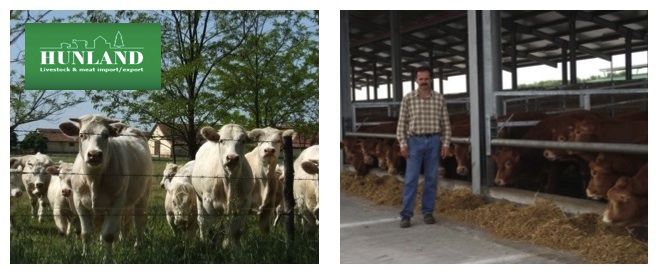 Illustration for article titled BUGYIBÓL - KATARBA! TEJÚTRENDSZER!