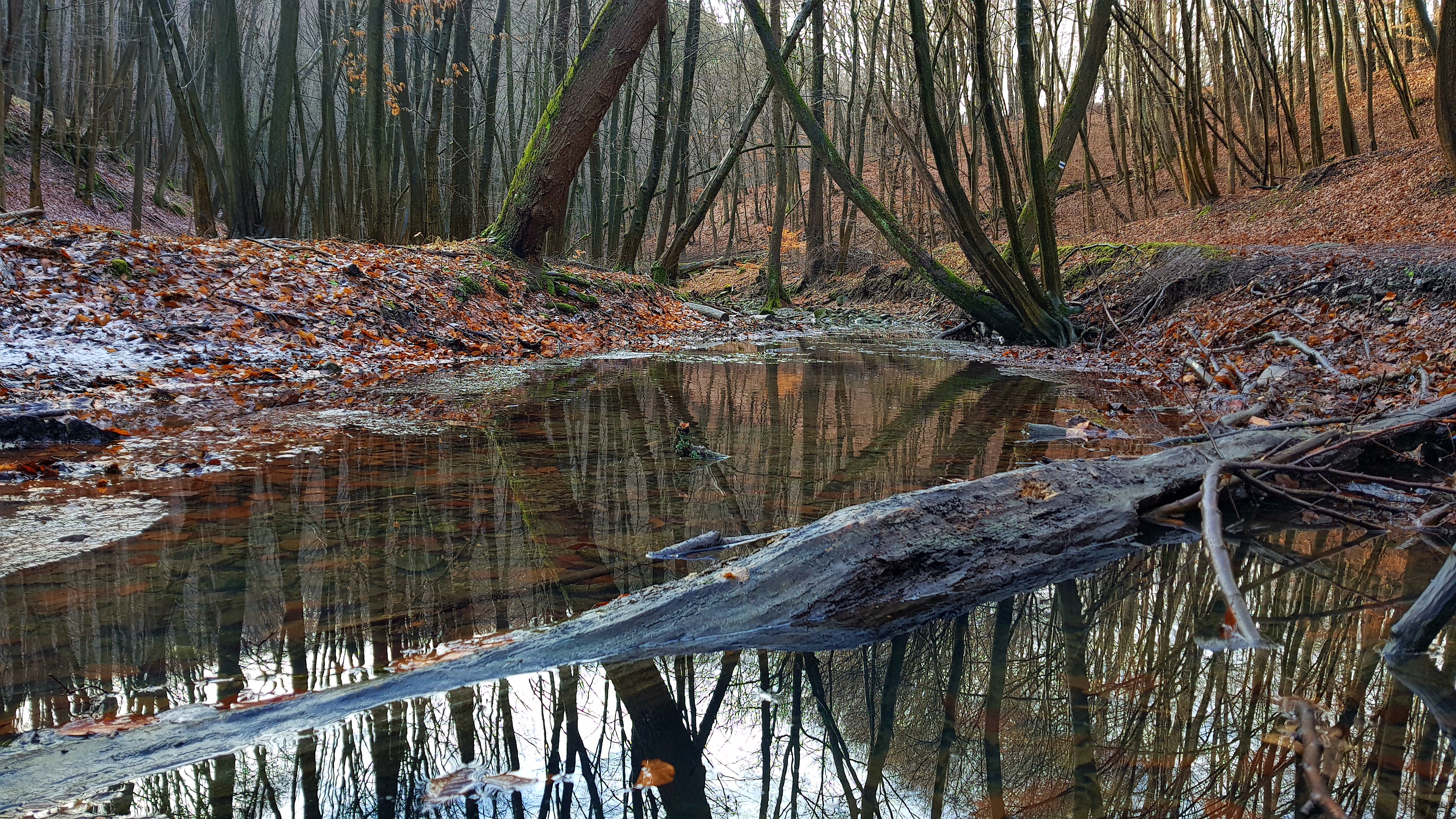 Hát akkor....ELSŐ!!