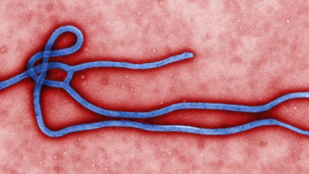 Elérte Afrika legnagyobb városát az ebola