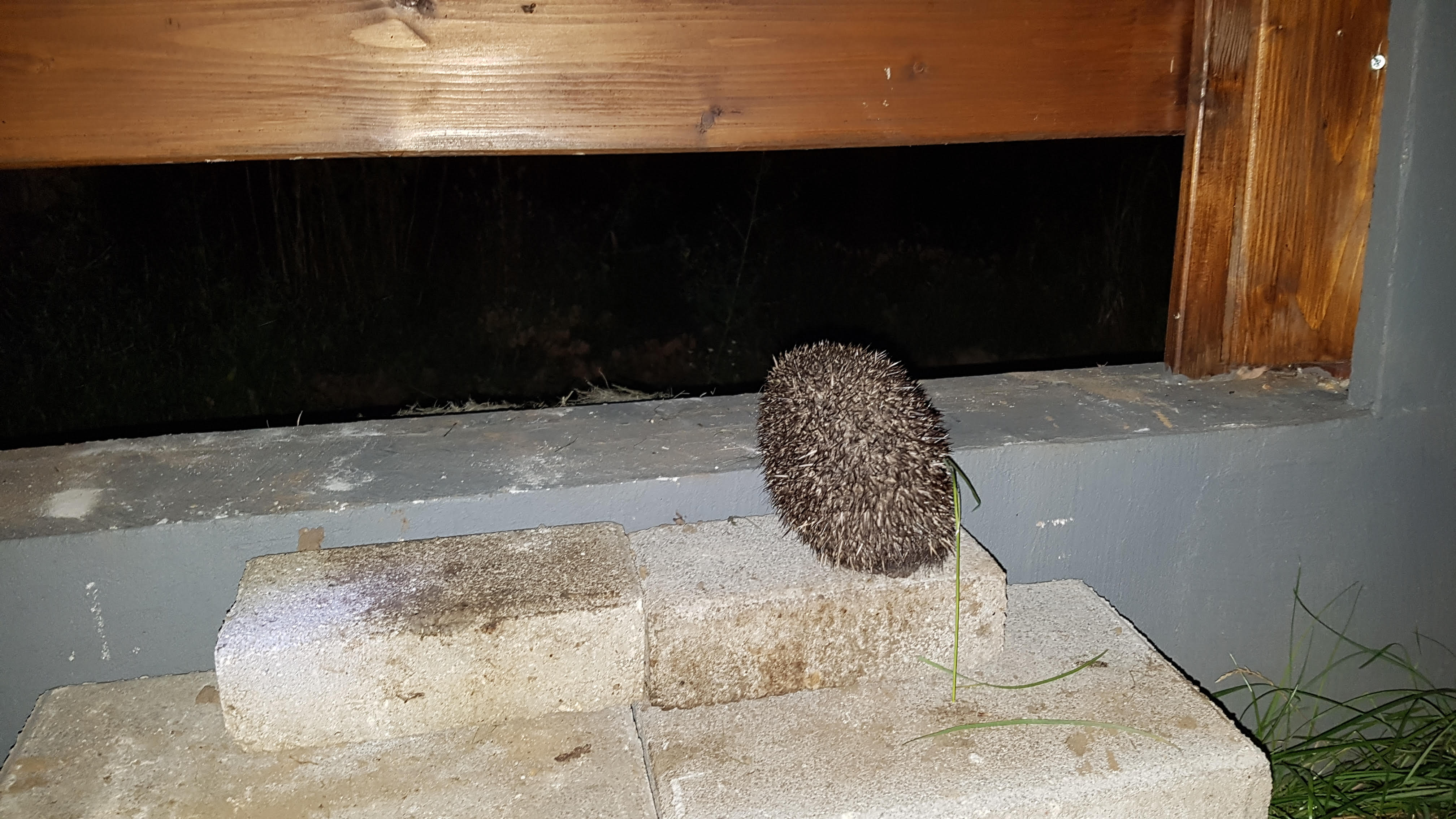 “Now it’s time to leave the capsule if you dare”