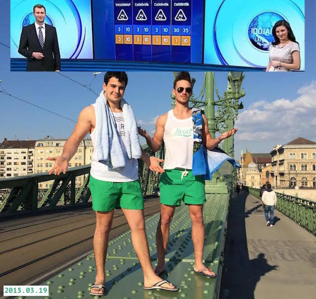 A köztévé kegyetlenül átverte a Cink kelleténél hiszékenyebb olvasóját