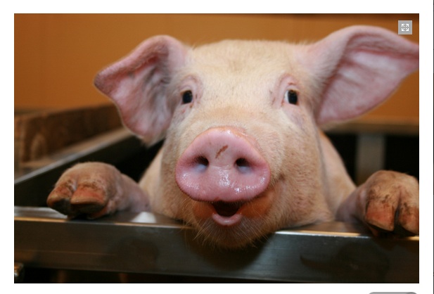 Szerelem az első látásra.+18!