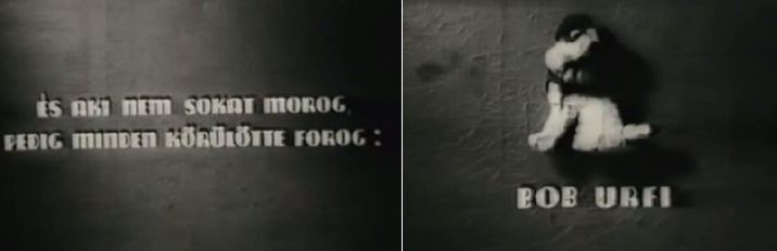 Bob úrfi, a kis drótszőrű foxi is felkerült - joggal - a “Párbaj semmiért” c. vígjáték stáblistájára.