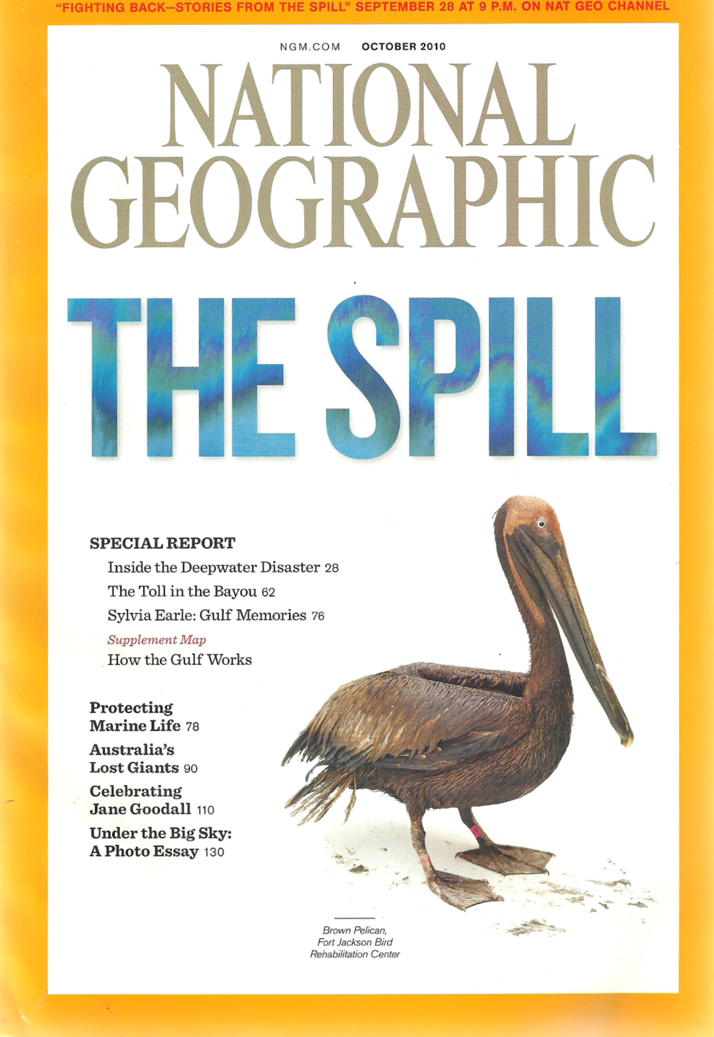 Illustration for article titled Milyen állat szerepelt eddig a legtöbbször a NatGeo címlapján?