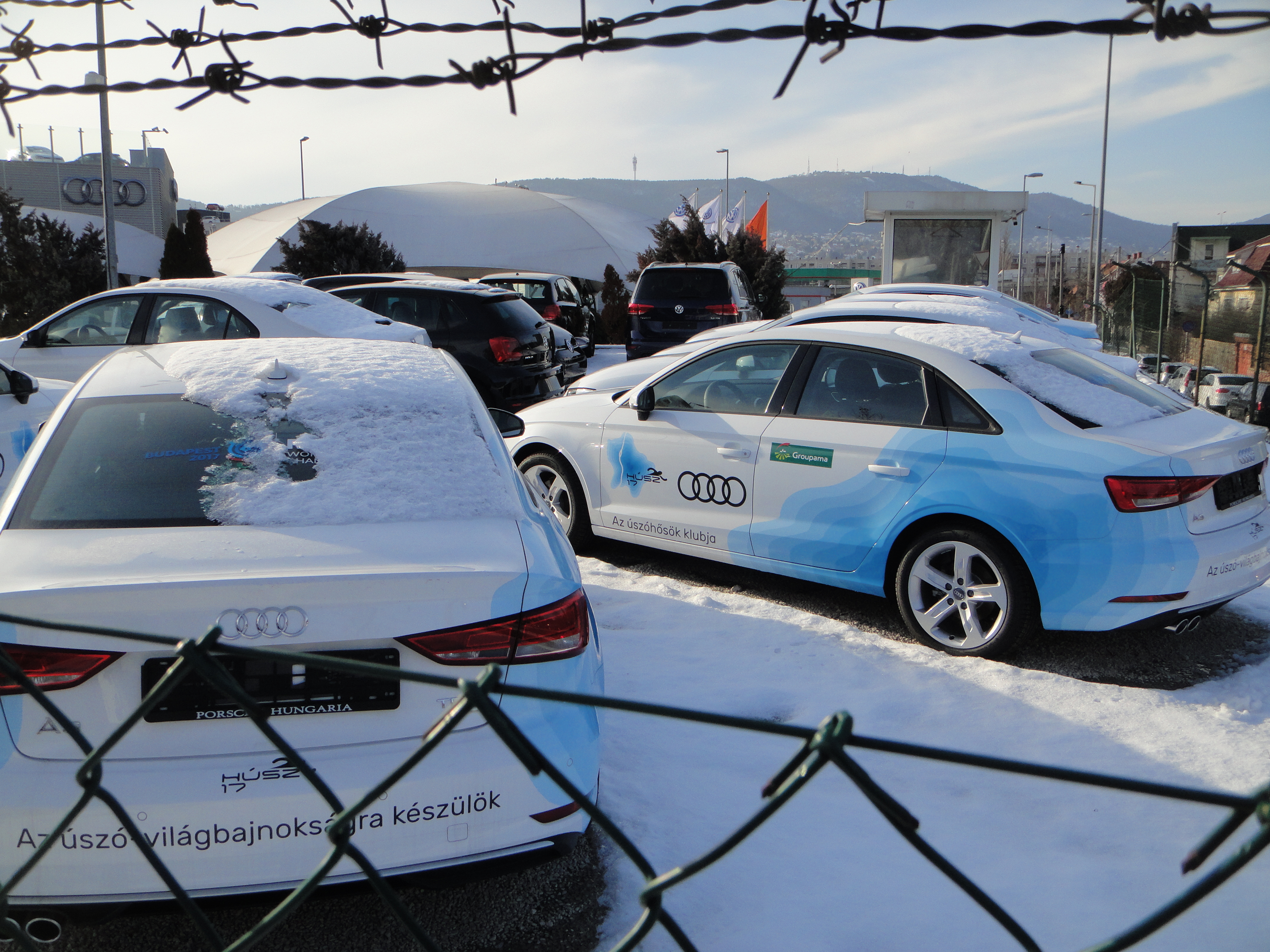 Illustration for article titled HÚSZ 17! Vanem/em-e köze az AUDI-nak a budapesti úszó VB-hez?