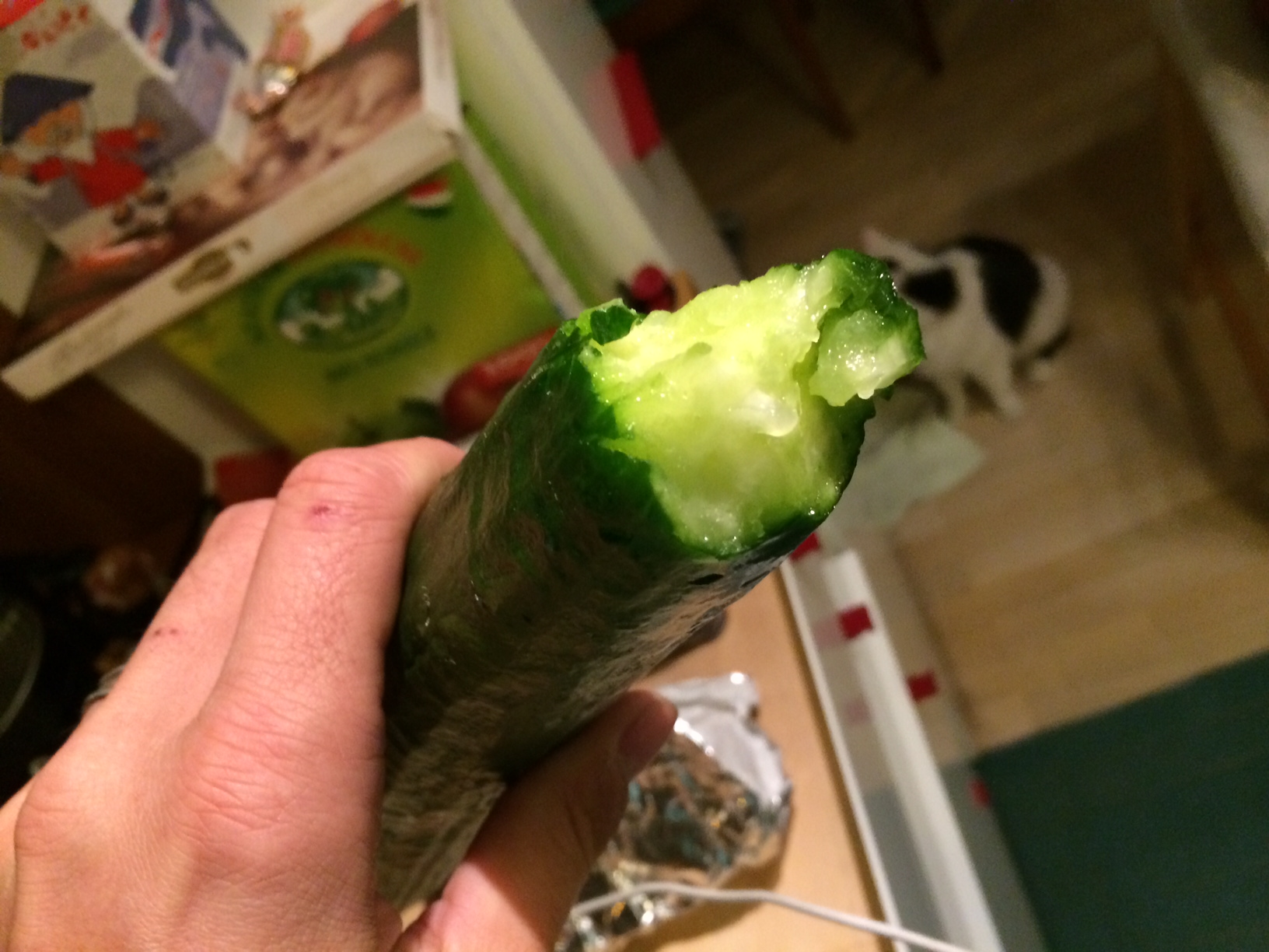 Illustration for article titled Tényleg ilyen hülyék lennének a kutyák?