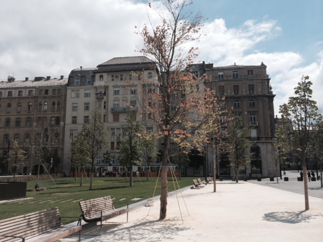 Illustration for article titled Pusztulnak a frissen ültetett fák a Parlamentnél